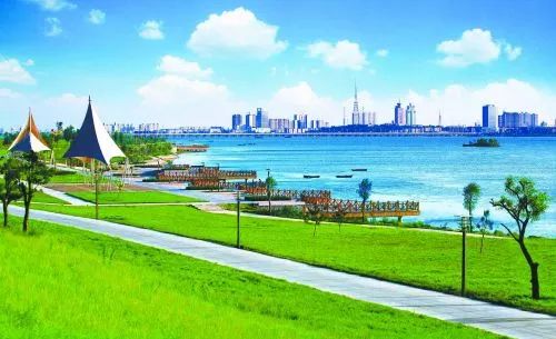 连续两个整版 改革开放40年，临沂新成就引中央媒体聚焦